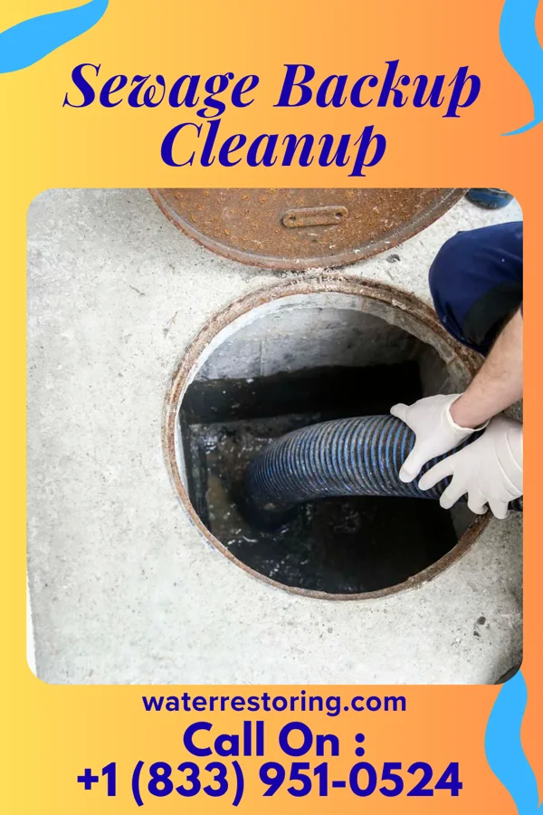 Sewage Backup Cleanup in Blanca, CO